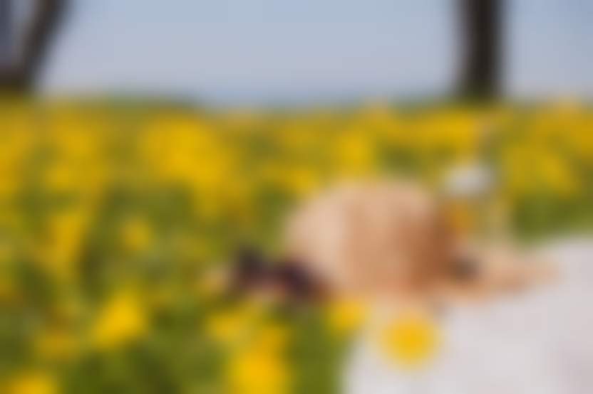 Источник: Freepik