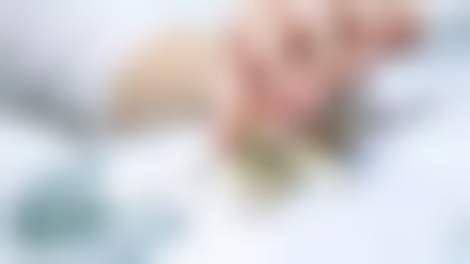 Декоративное изображение