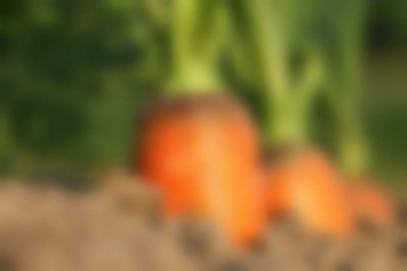 Источник: Pixabay