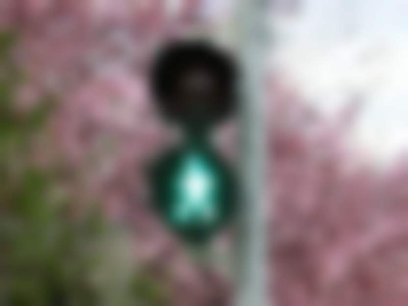 Lbokel / pixabay.com