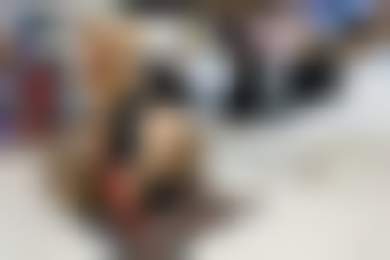 Как и зачем обувные магазины дают кредиты покупателям?