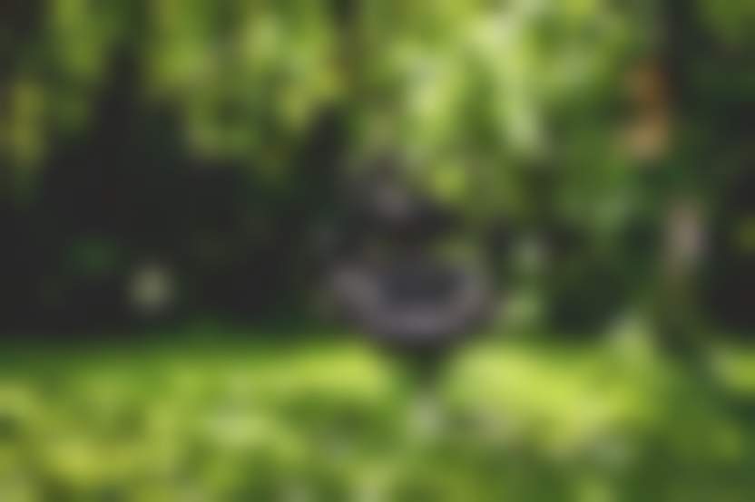 Alexas_Fotos/ Pixabay