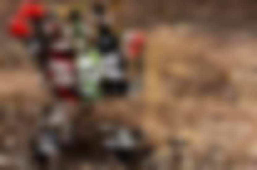 Alexas_Fotos / Pixabay 