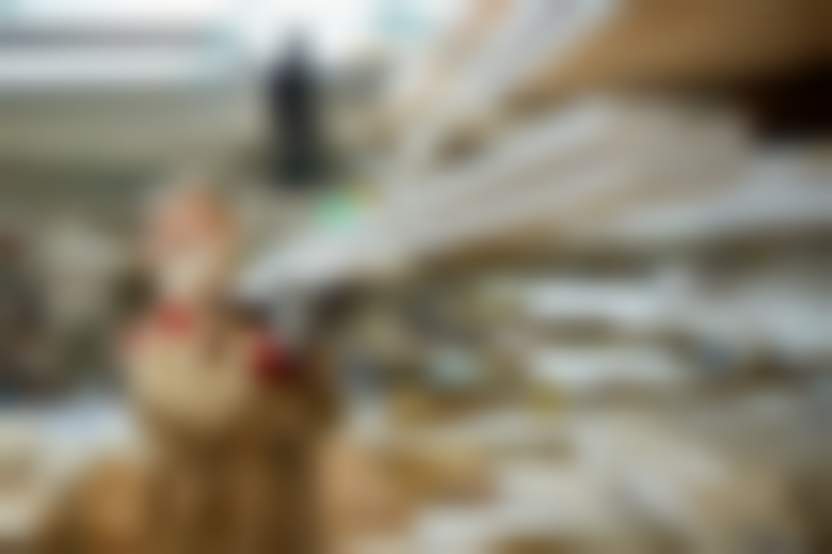 Drazen Zigic / Freepik