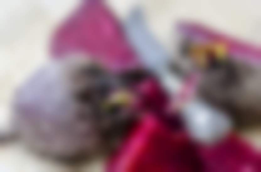 Источник: Pixabay