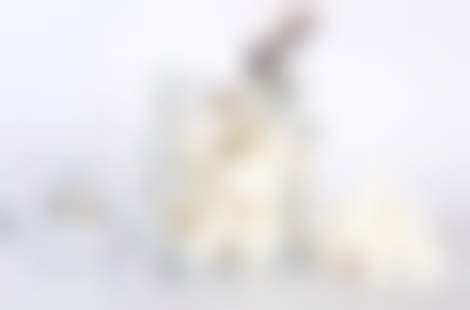 Декоративное изображение