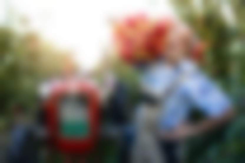 aleksandarlittlewolf/Freepik