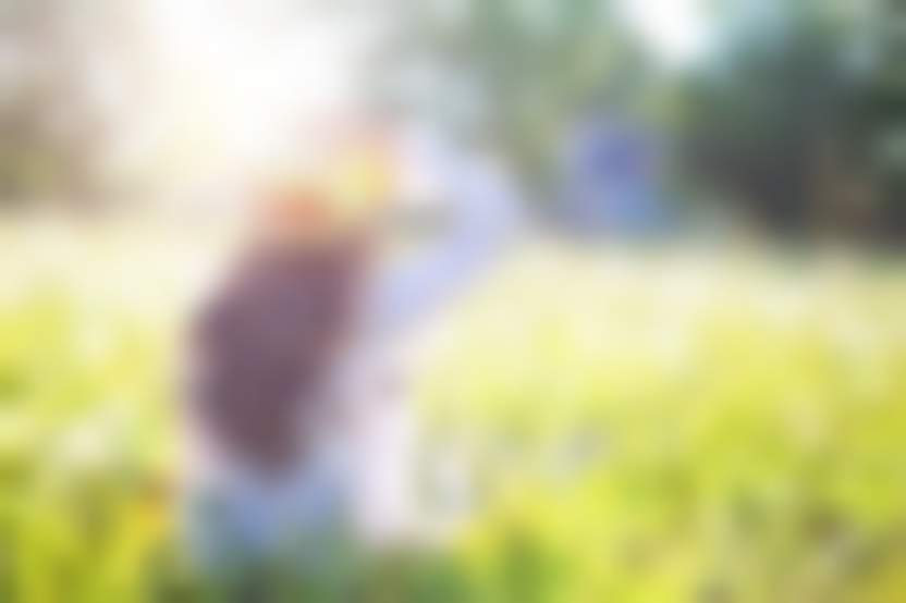 Jill Wellington / Pixabay 