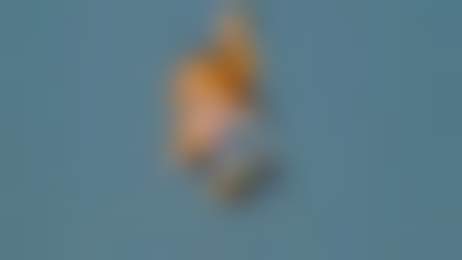 2016 в ритейле: рост гигантов, банкротства малых и новые законы против «серого» рынка