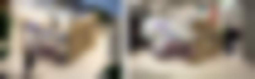 Фото: decoist.com