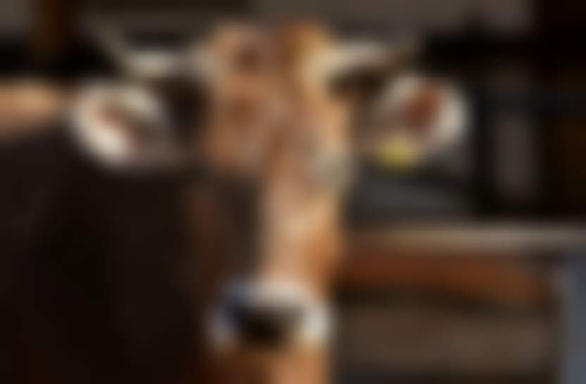 Источник: Pixabay