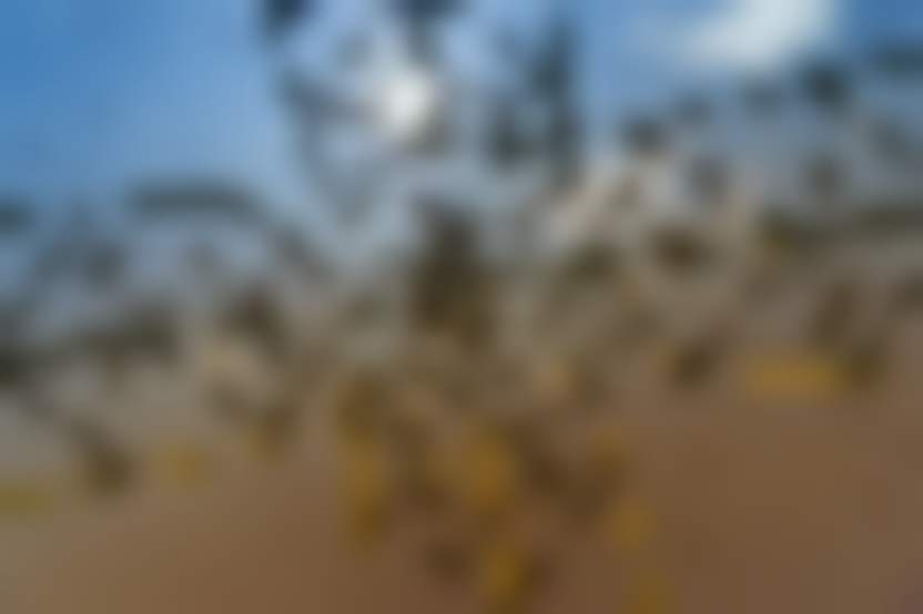 Источник: Freepik