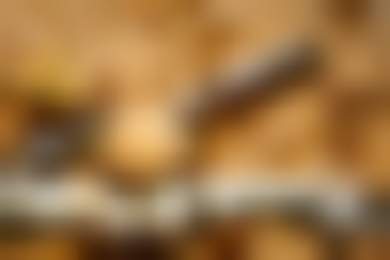 2015 год в ритейле: крупные сети стали еще крупнее. Экспансия в регионы и запуск новых форматов