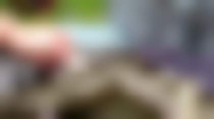 Декоративное изображение