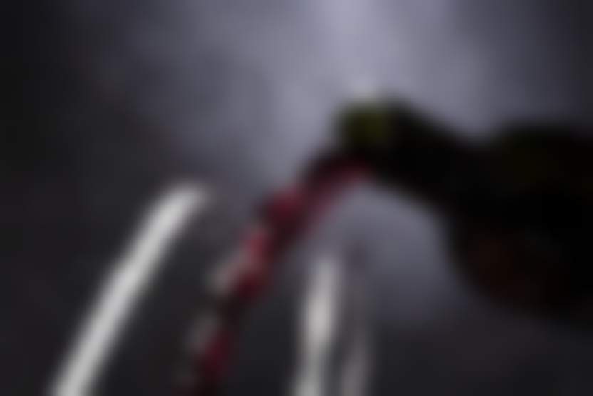 Вино /Pixabay.com