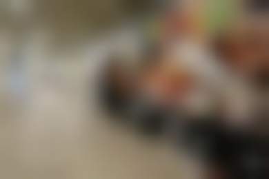 Открытия ноября