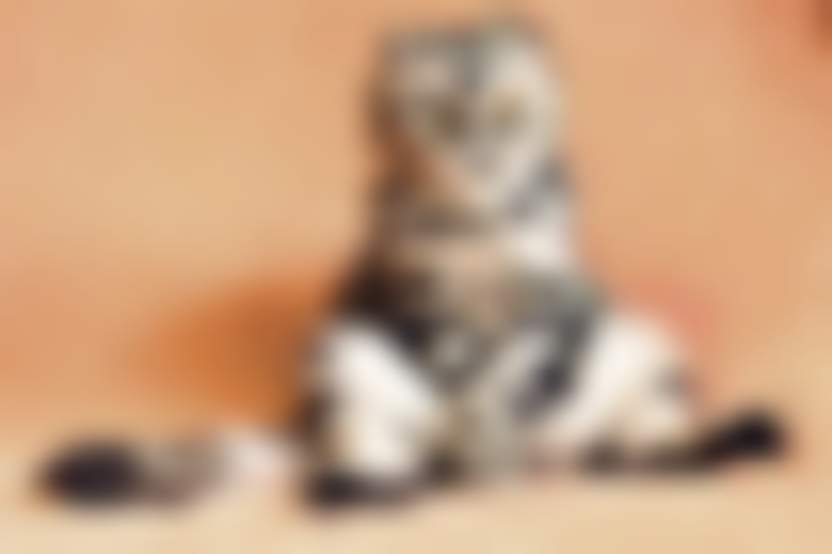 Источник: Pixabay