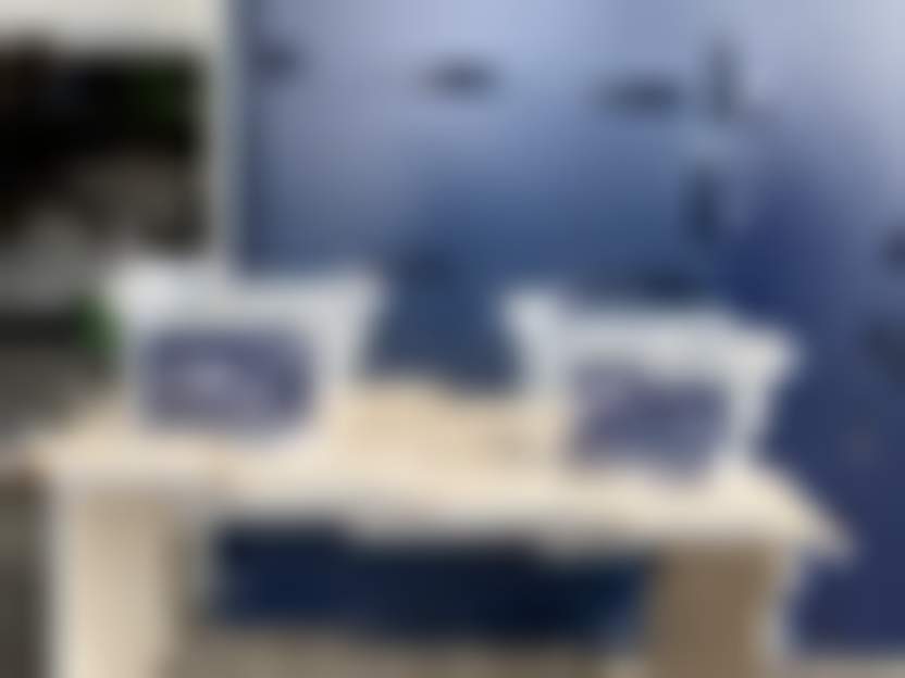 «Леруа Мерлен»: «Мы увеличили зарплату сотрудников на 30%»