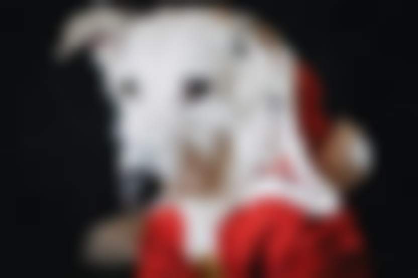 Источник: Pixabay