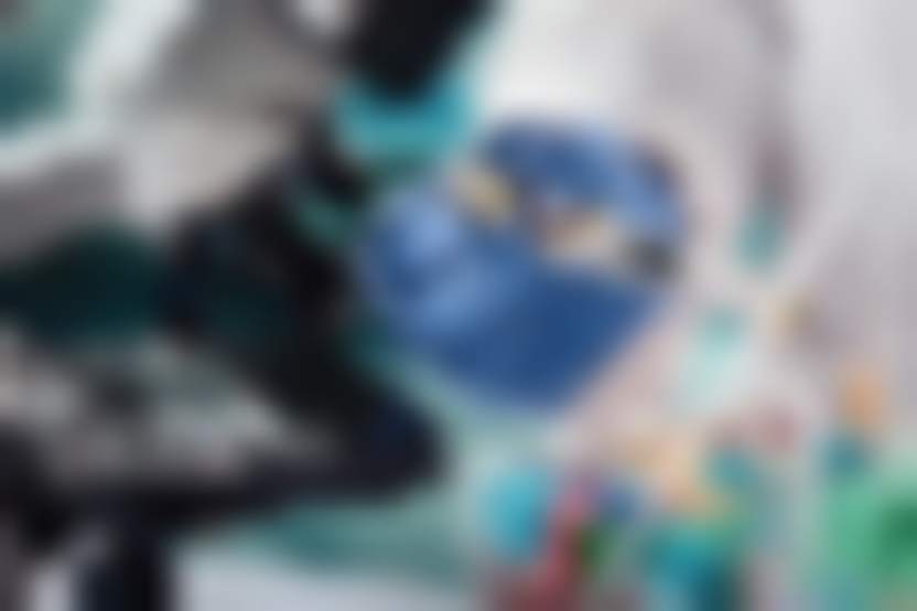 Andrii Vodolazhskyi / shutterstock