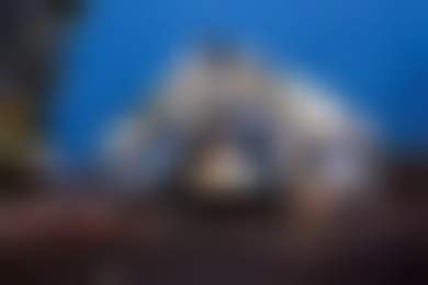 Открытия марта