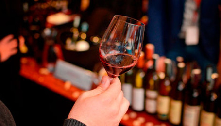 Винотека: примеры ярких концепций со всего мира