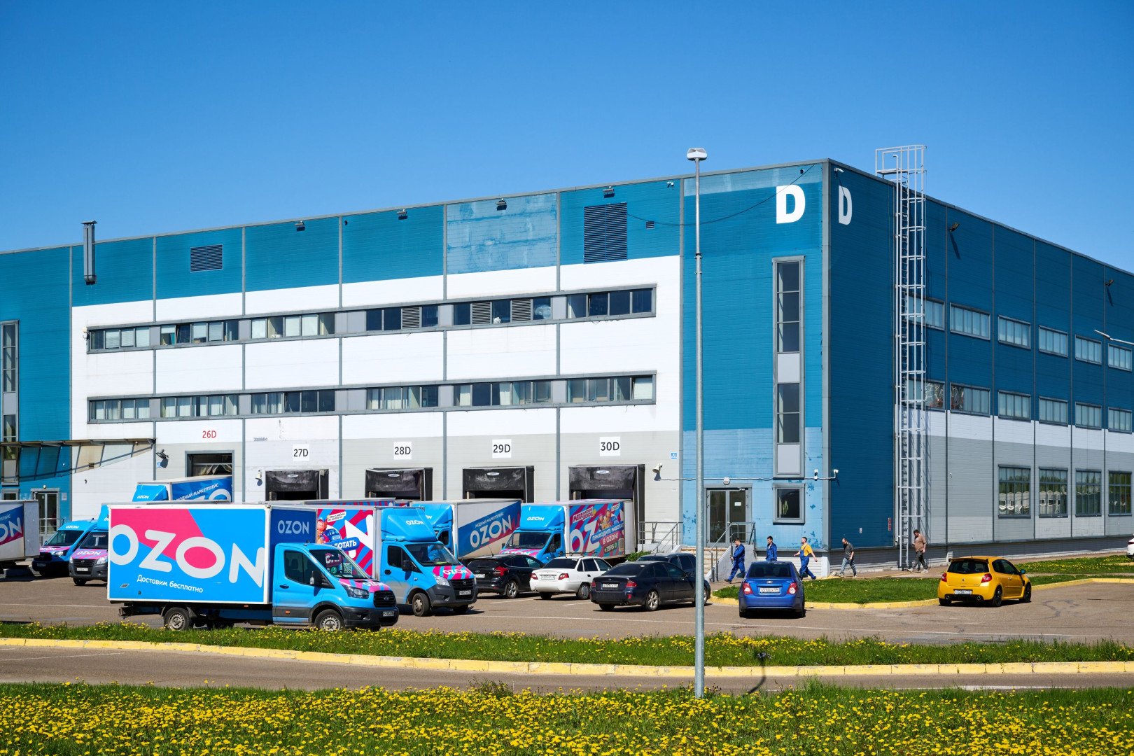 Источник: «Ozon»