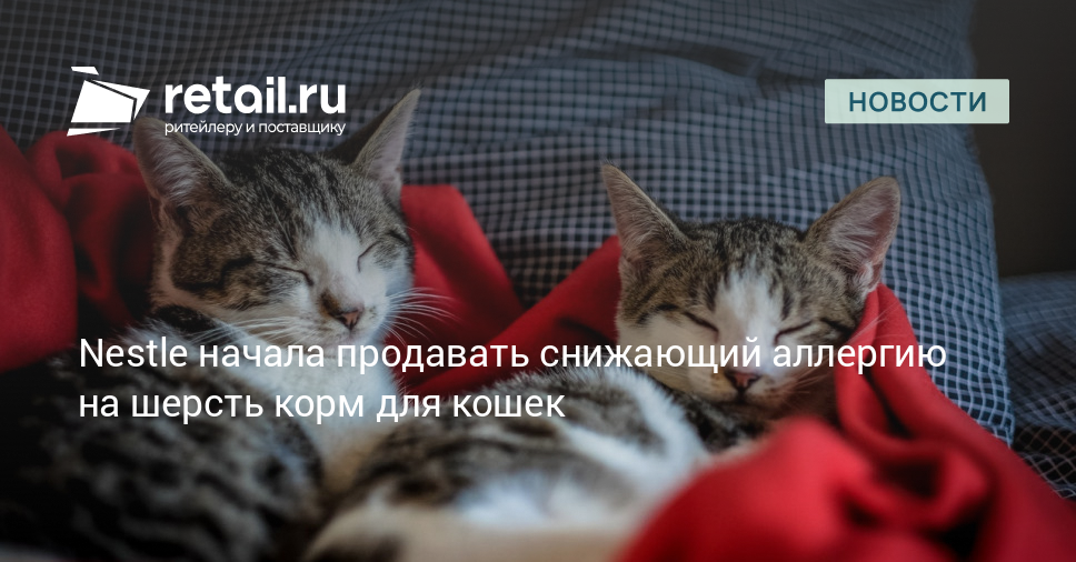 Nestle начала продавать снижающий аллергию на шерсть корм для кошек ...