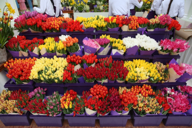 «Мегамаркет» вышел на рынок продажи цветов