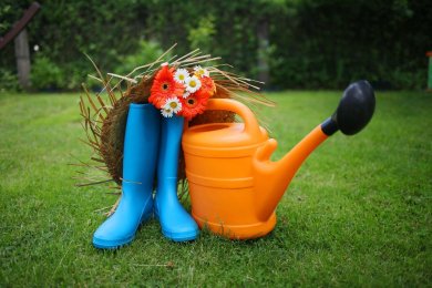 «Авито»: в России на 40% вырос спрос на благоустройство садов