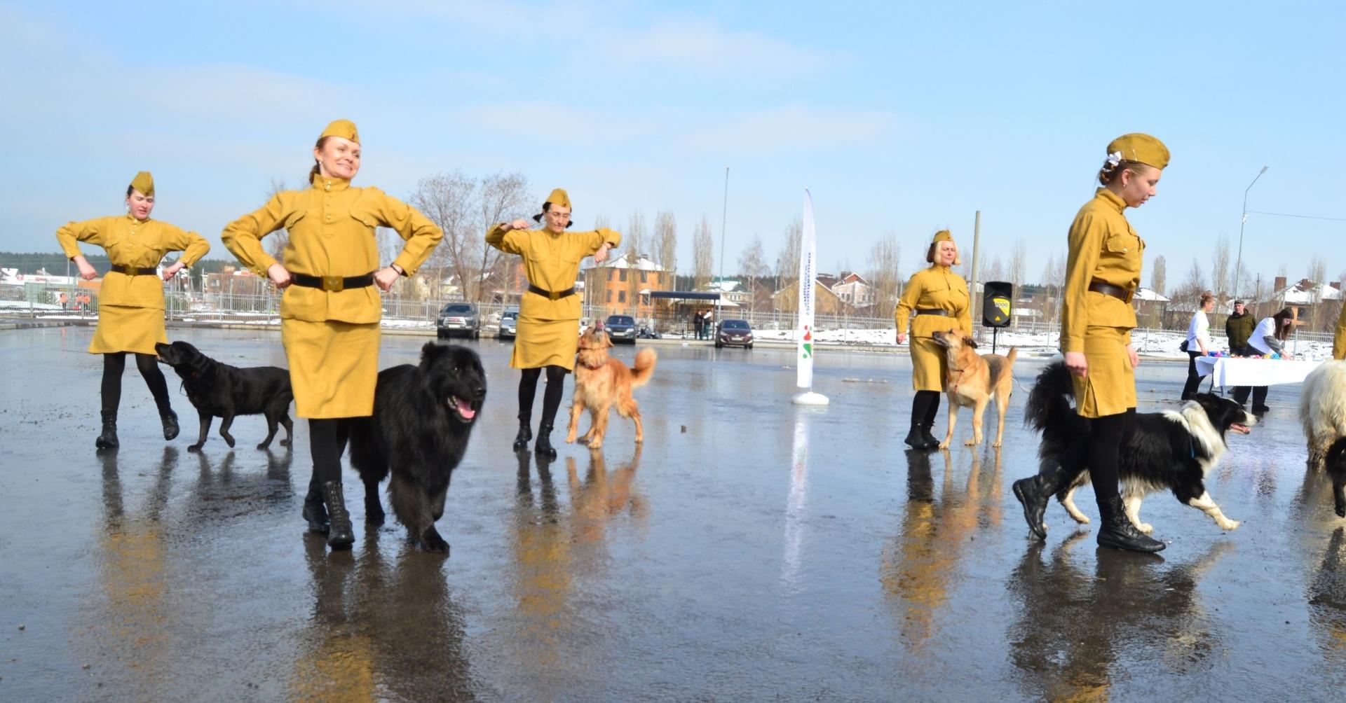 Источник: «Пятёрочка» 