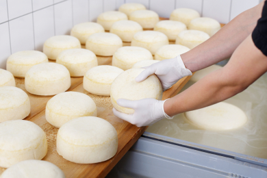 В Подмосковье откроется завод по производству сыров ГК «Рота-Агро»