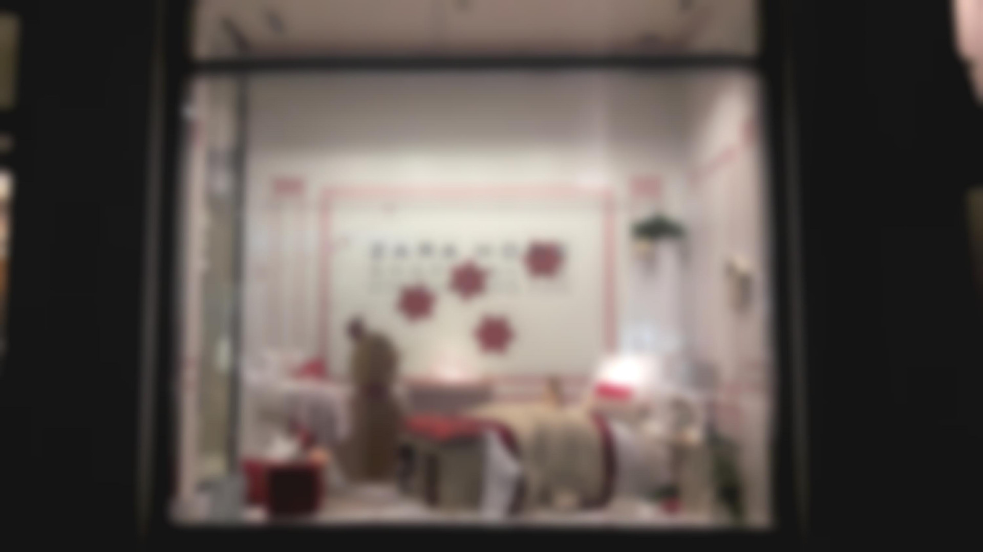 Zara Home