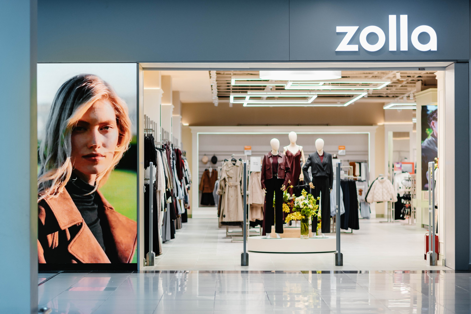Источник: Zolla 