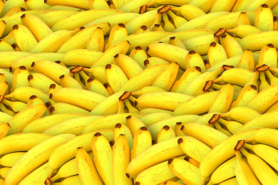 «Руспродсоюз» не видит сложностей с поставками бананов из Эквадора