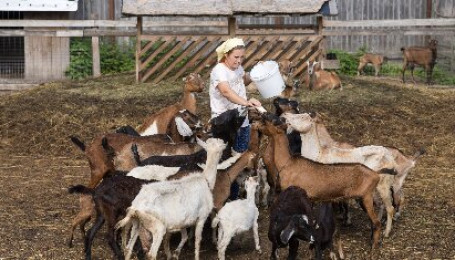 «Пятёрочка» передает продукты фермерам: зачем и как?