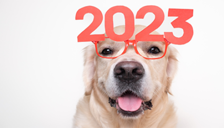 10 PR-трендов для брендов и компаний в 2023 году