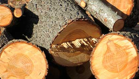 Рост цен на древесину в 2019 году повлияет на стоимость деревянной тары 