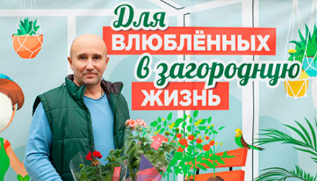 «Дарвин»: «Мы продаем не грунт и семена, а мечту и удовольствие для загородной жизни»
