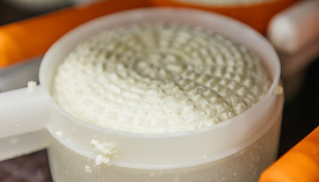 Адыгейский сыр: где и как делают настоящий?