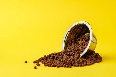 Декоративное изображение