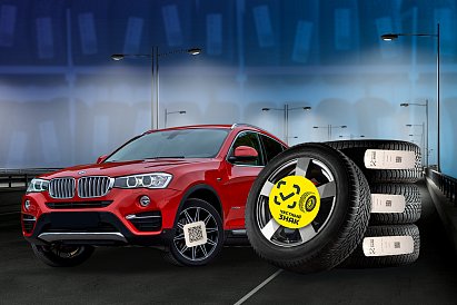 Декоративное изображение