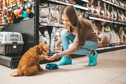 Декоративное изображение