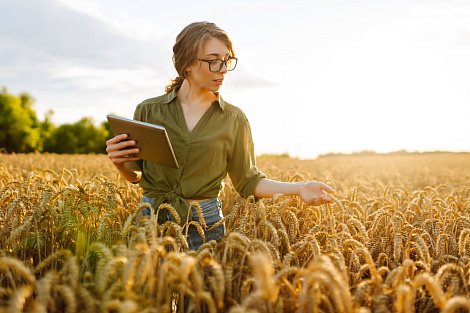 Декоративное изображение