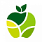 Fruit Exim