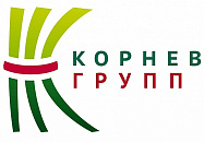 Корнев групп