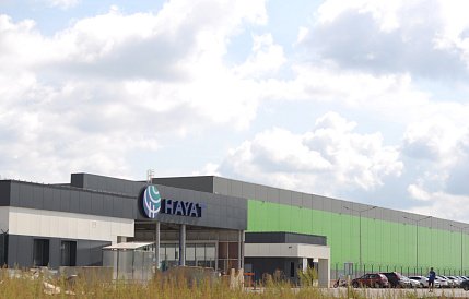 Декоративное изображение