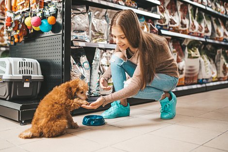 Декоративное изображение