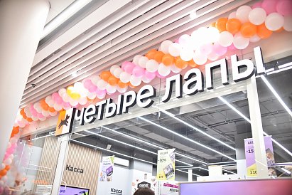 Декоративное изображение