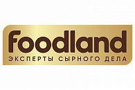 Декоративное изображение